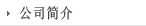 公司简介